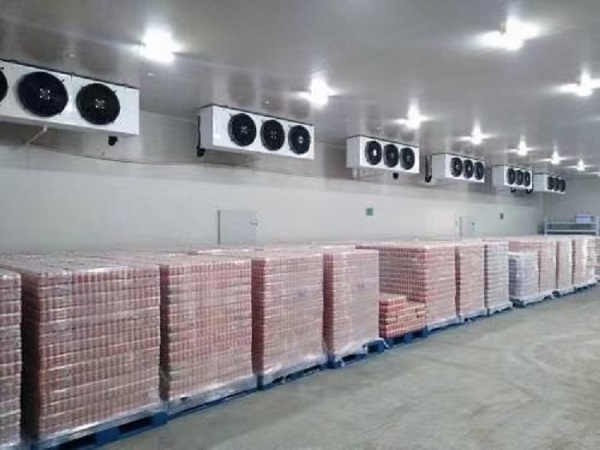 Frozen storage plant